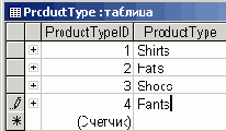 Создание баз данных в Microsoft Access